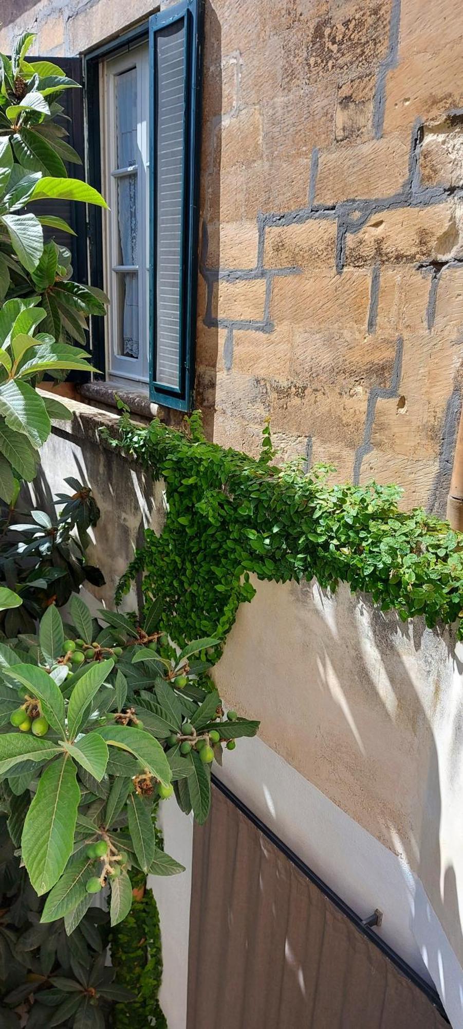 Massa House Bed & Breakfast Lecce Ruang foto
